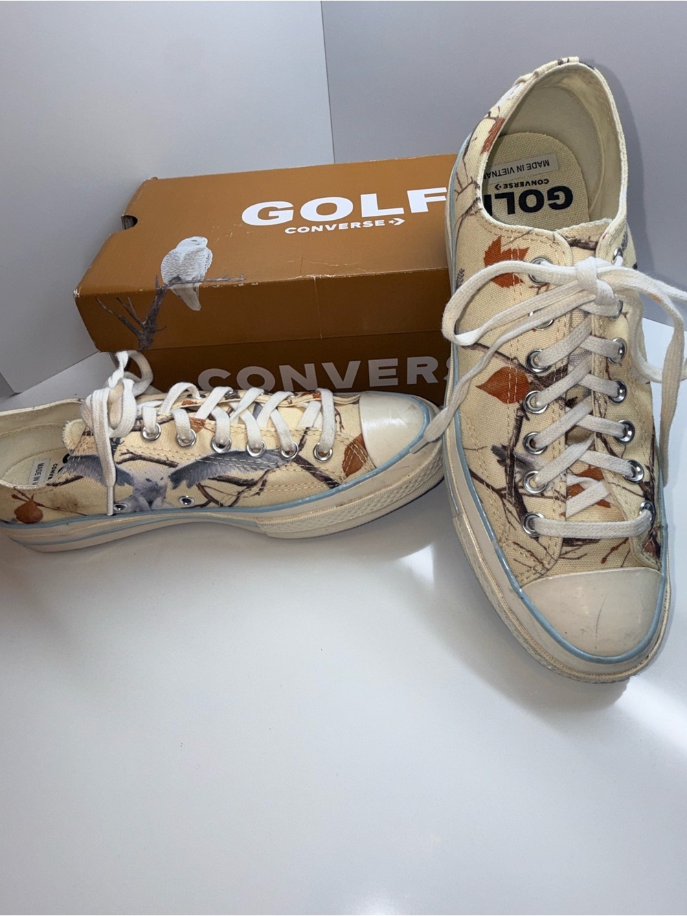 Golf Wang x Converse Chuck 70 Low 'Owl' (Style Code: A01798C) M8.5